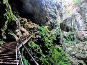 TAZA CAVE FRIOUATO