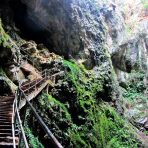 TAZA CAVE FRIOUATO