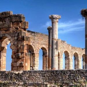 FEZ TO VOLUBILIS