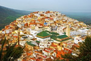 FEZ TO VOLUBILIS